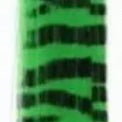 Hair Extensions - Zebra