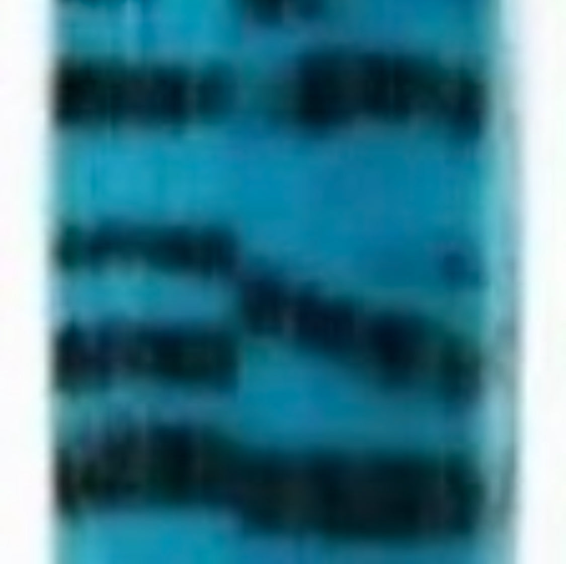Hair Extensions - Zebra