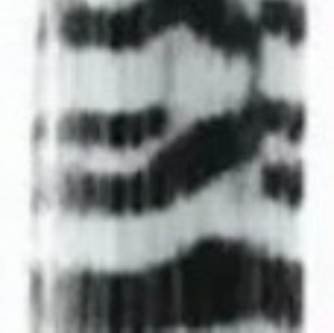 Hair Extensions - Zebra