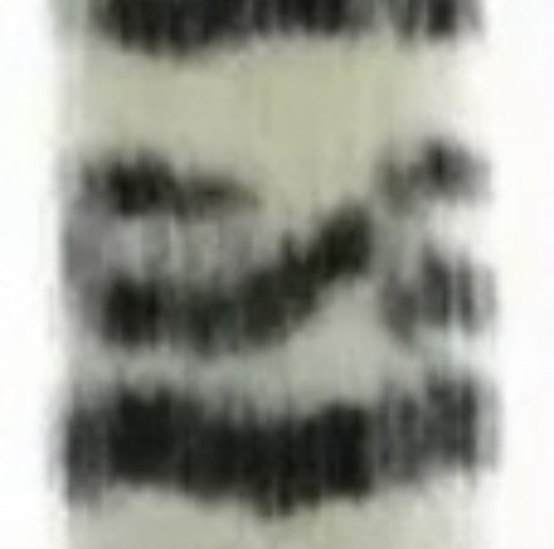 Hair Extensions - Zebra