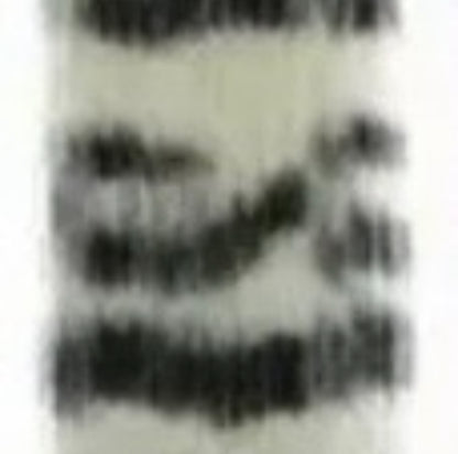 Zebra Hair Extensions