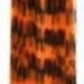 Hair Extensions - Zebra