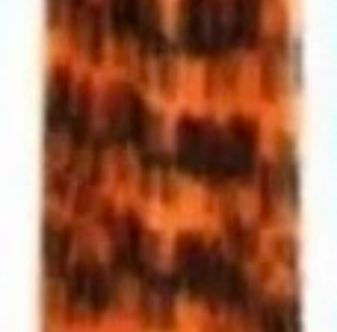 Hair Extensions - Zebra