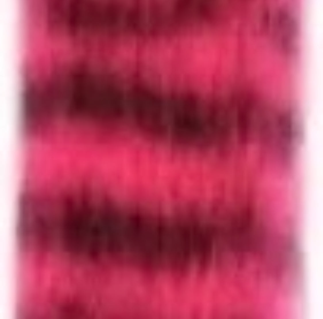 Hair Extensions - Zebra