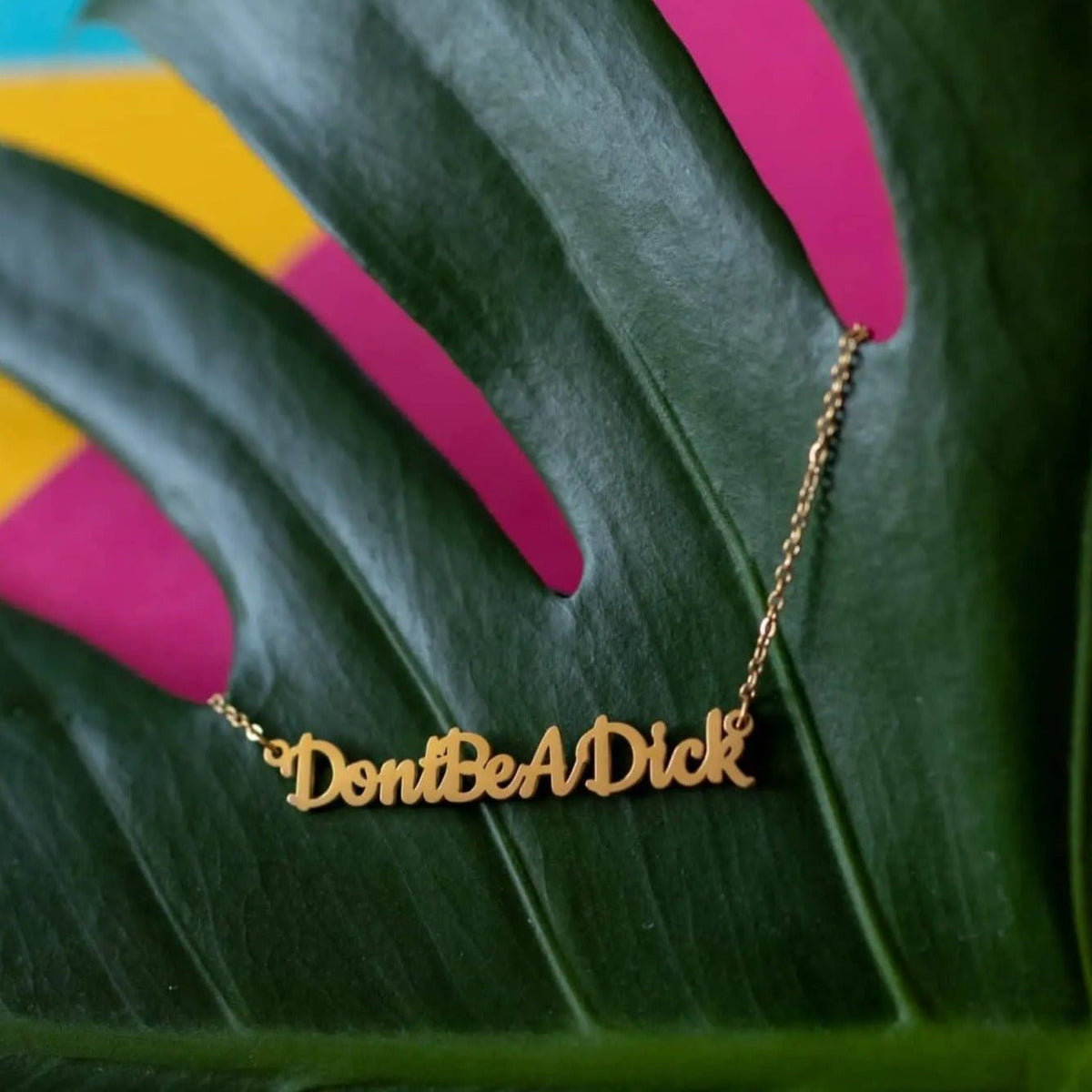 Don’t Be A Dick Necklace | Statement Slogan Jewellery